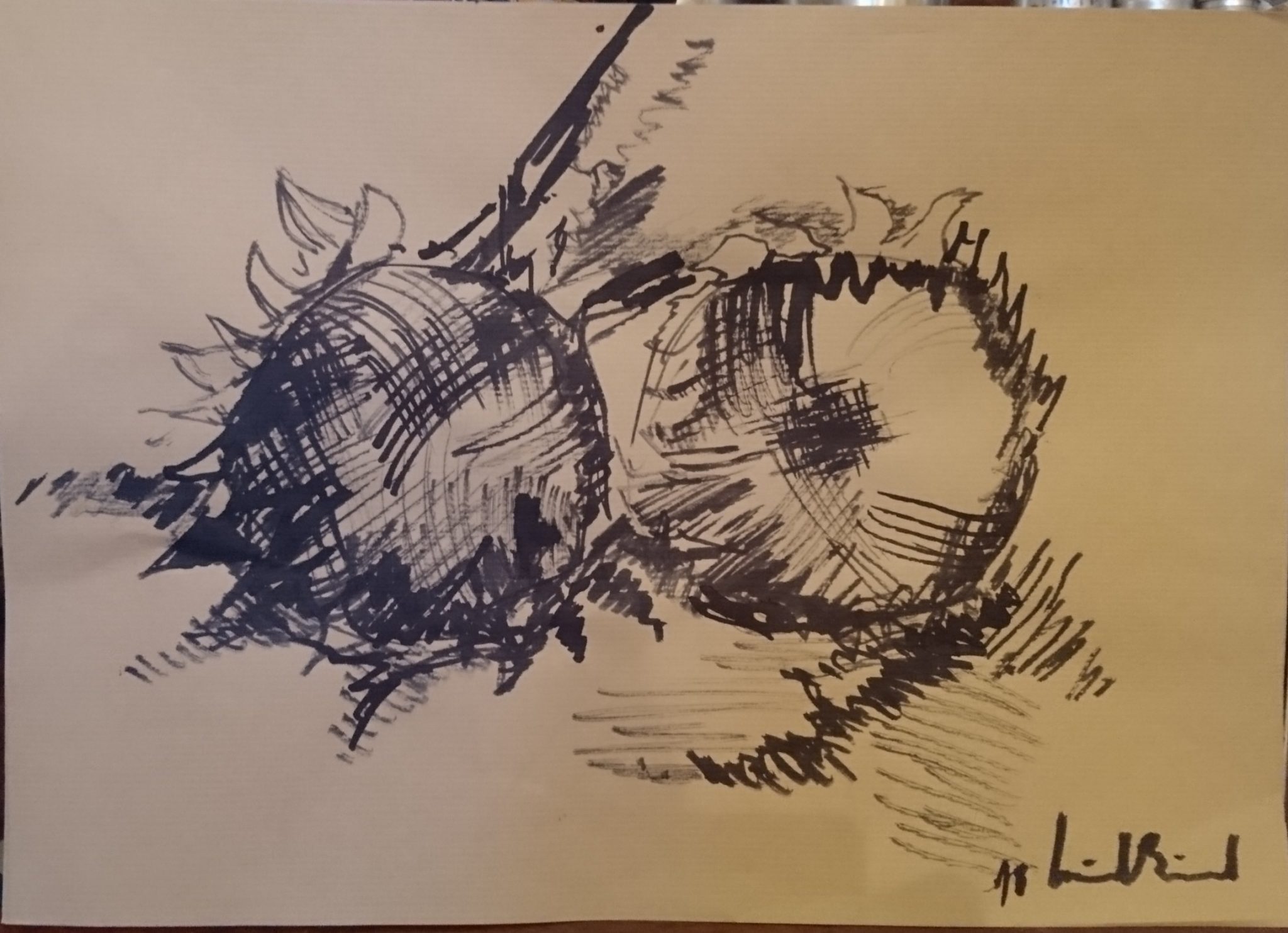 _20180506_205349