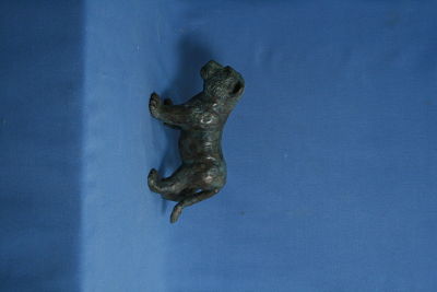 petit-tigre-2