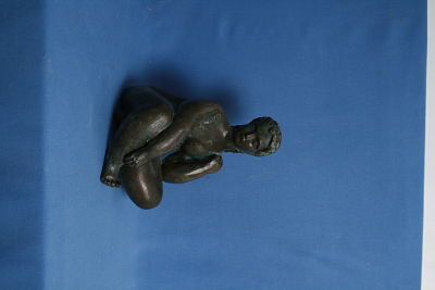 silene-2
