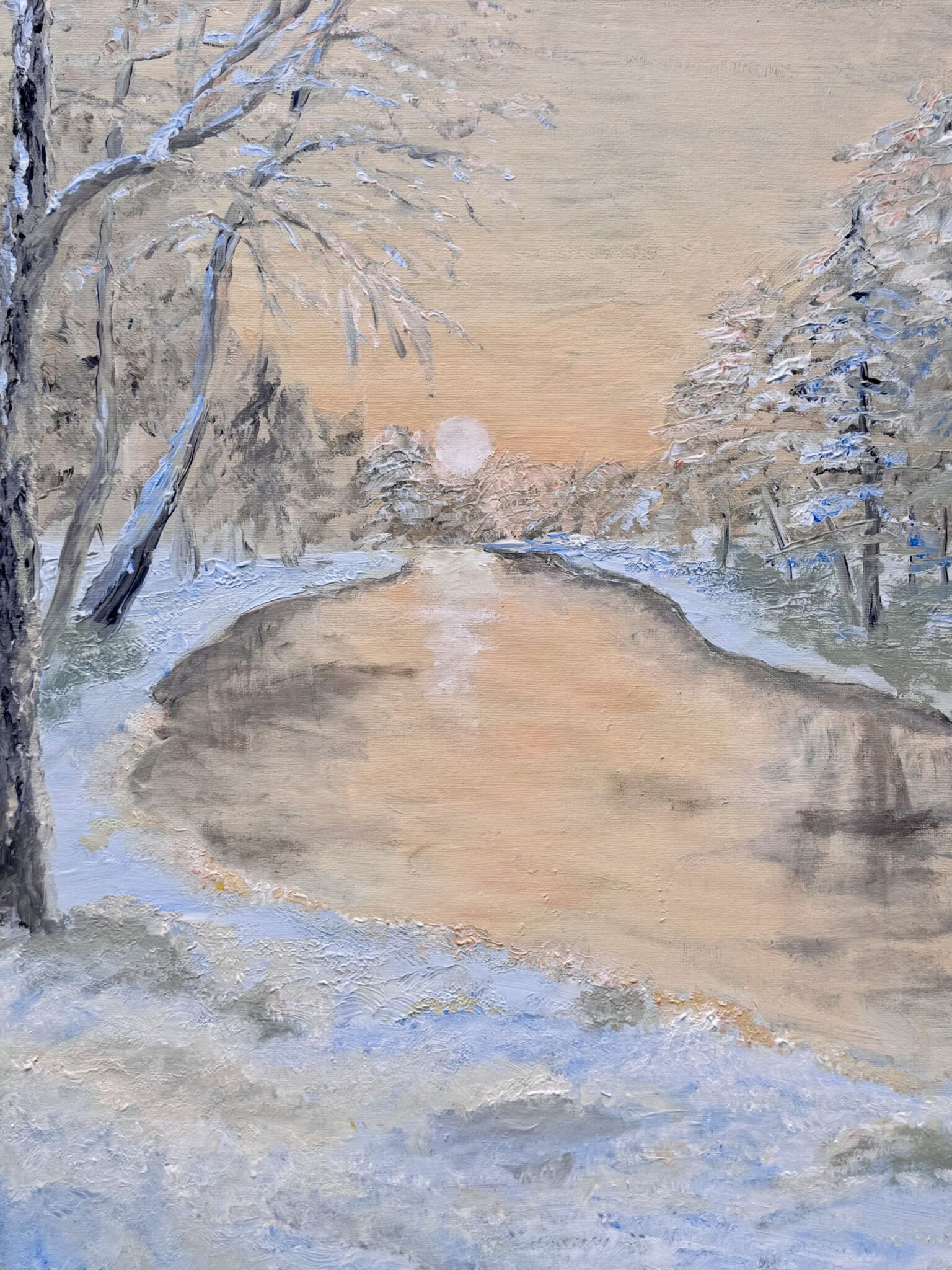 un-hiver-de-trois-jours-en-france