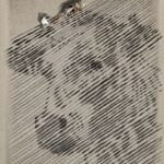 Effet bœuf par Jean-Luc Schické