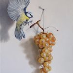 Le chaselas et la mésange bleue (35 x 27 cm) 5F