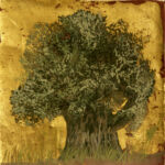 Oliviers d\'O.S.E. par KETSELIDIS Ulysse alias O.Sotiriou / Artiste peintre