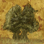 Oliviers d\'O.S.E. par KETSELIDIS Ulysse alias O.Sotiriou / Artiste peintre