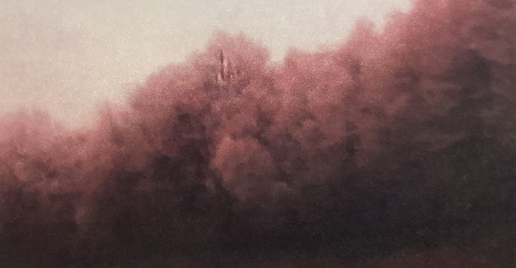 foret-rouge