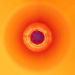 05 pulse orange par BEATRICE HUG