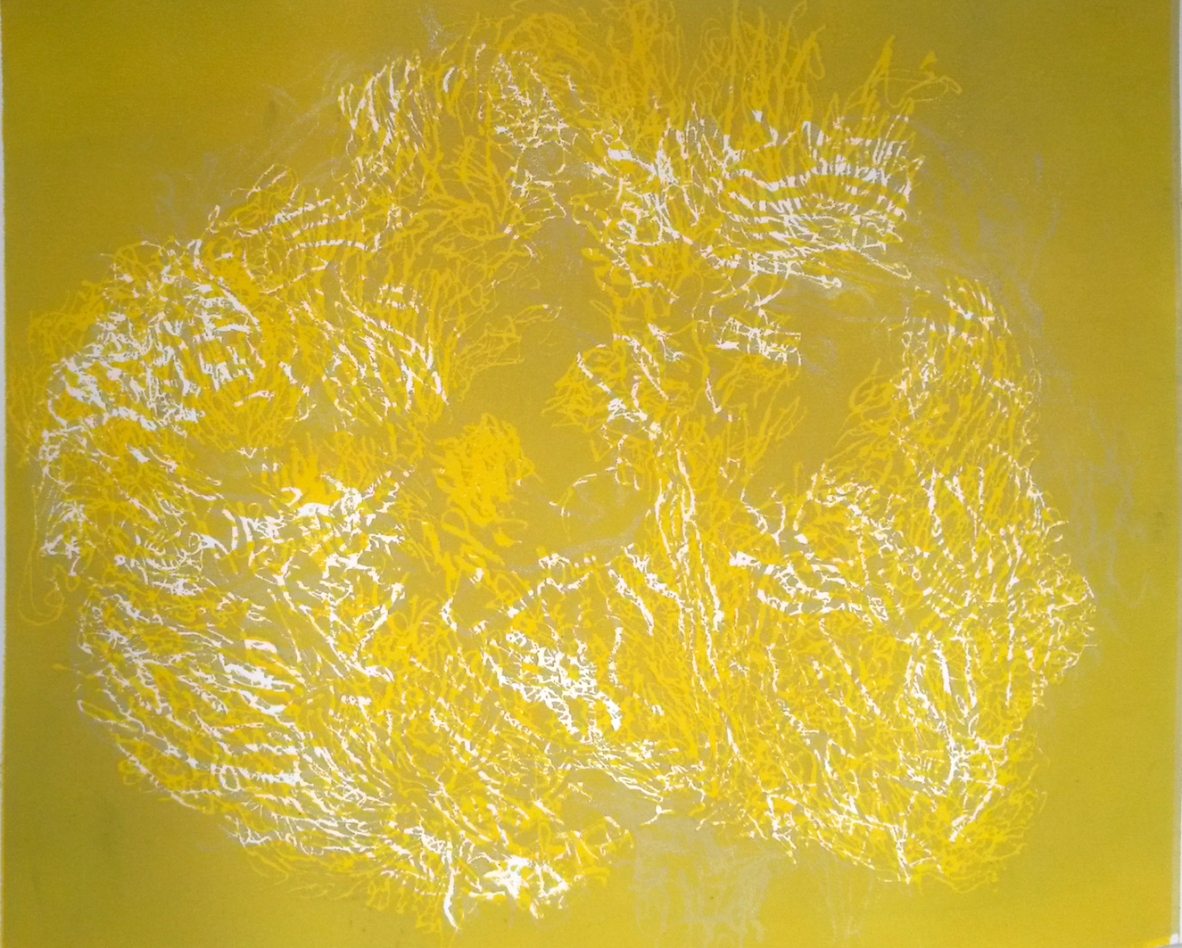 eclosion-9