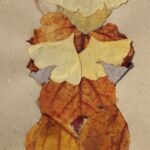 Venus feuille