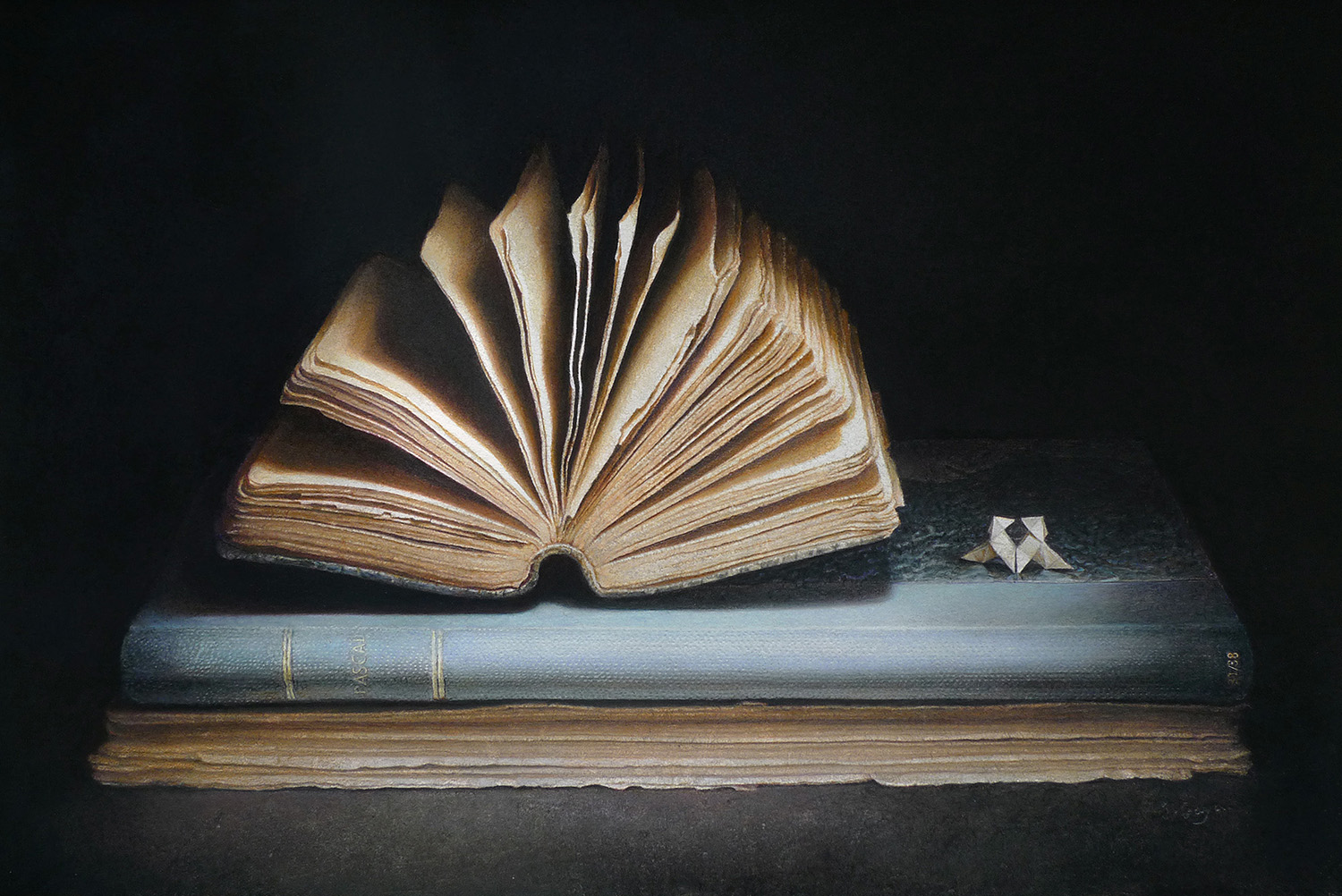 livre-ouvert-et-cocotes