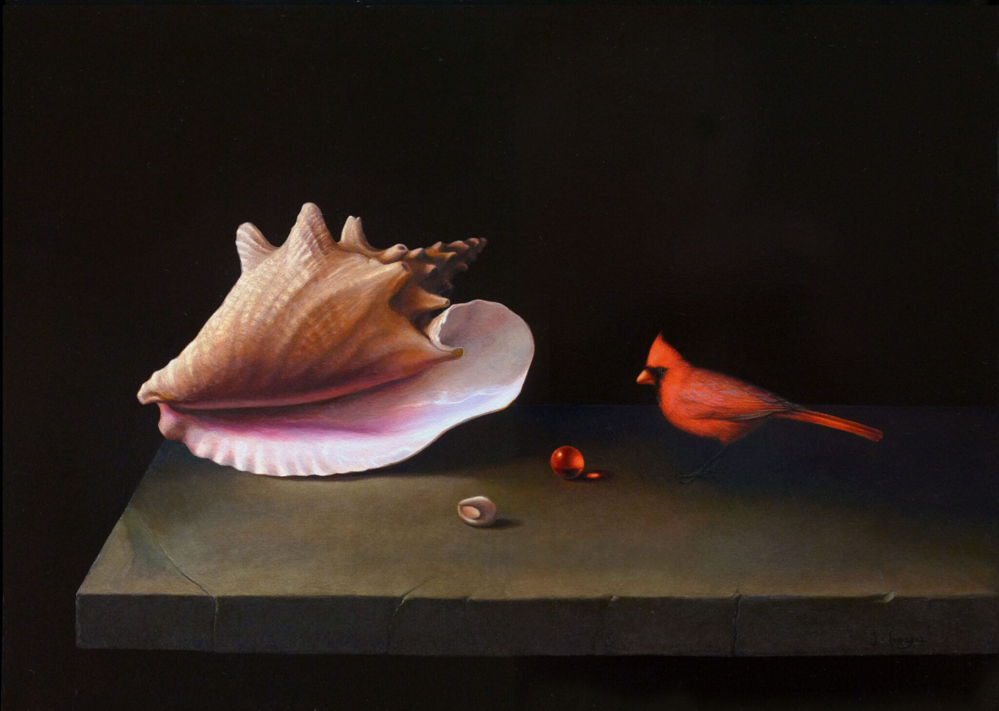 petit-oiseau-rouge-et-coquilliages