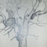 Arbre 1985