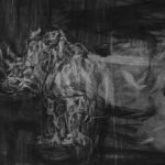 Etude De Rhinocéros 3 par Alain Maison