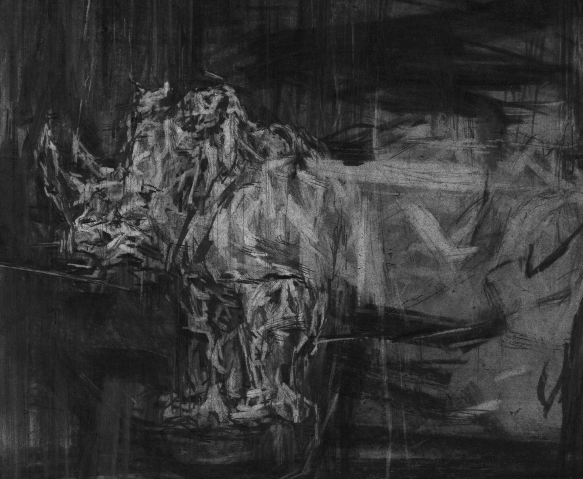 etude-de-rhinoceros-3