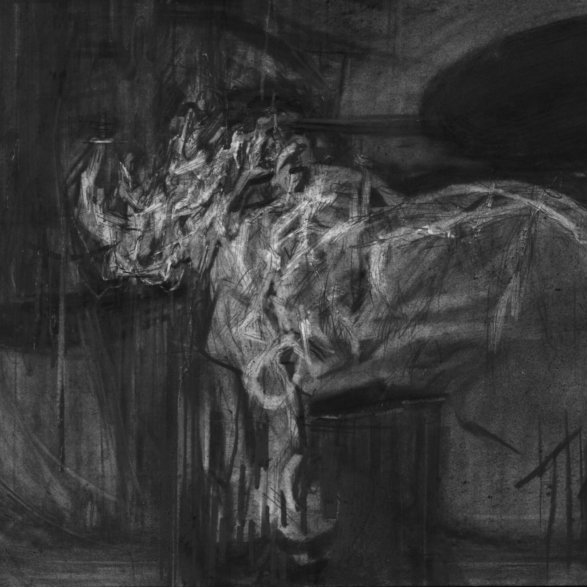 etude-de-rhinoceros-36