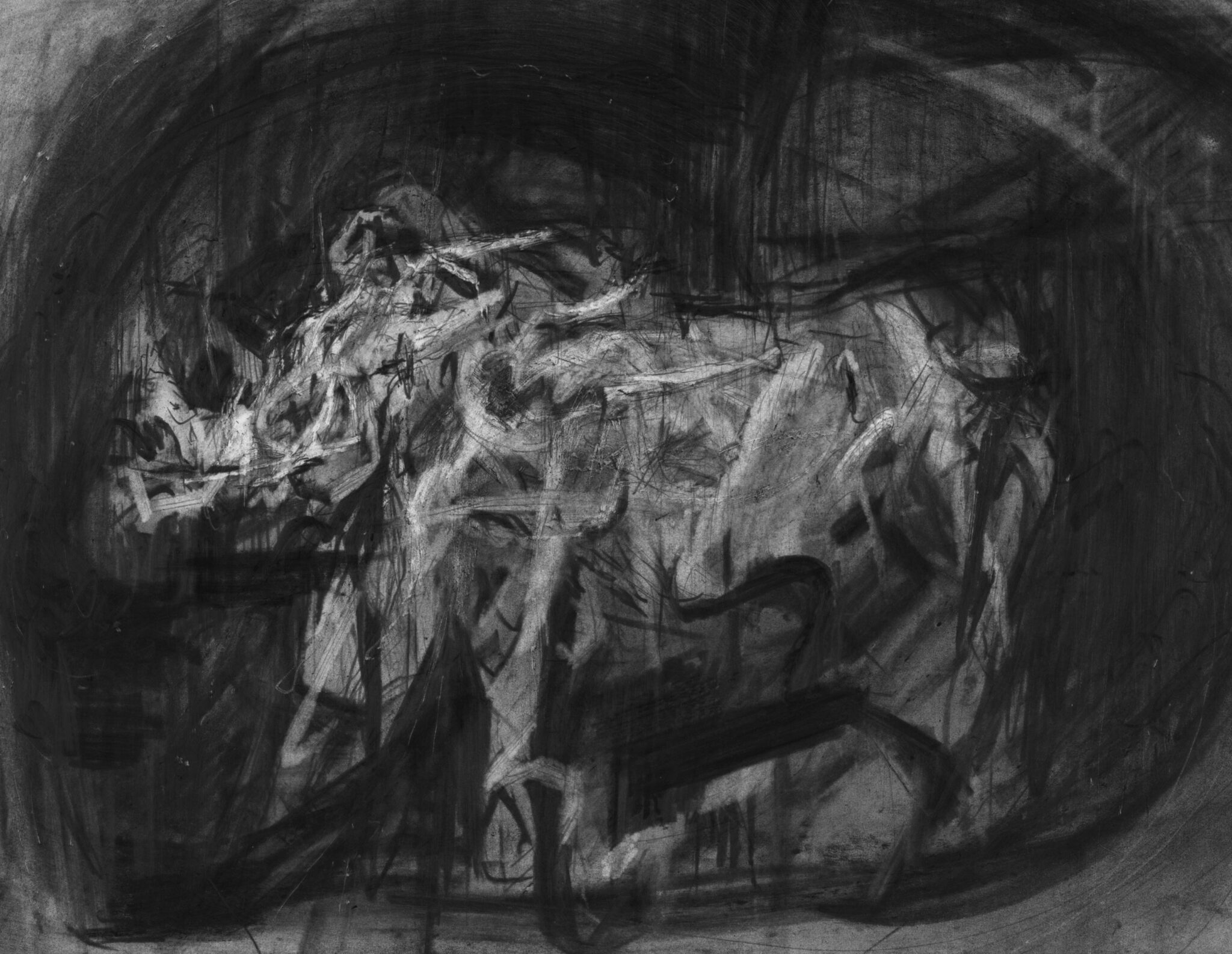 etude-de-rhinoceros-37