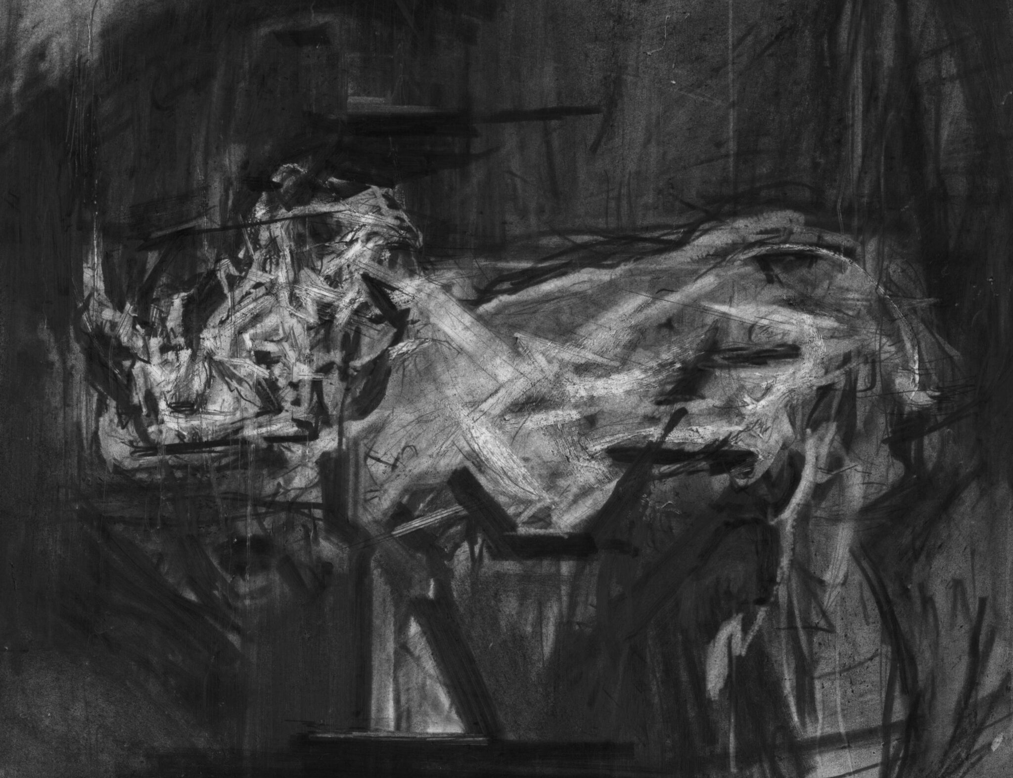 etude-de-rhinoceros-8