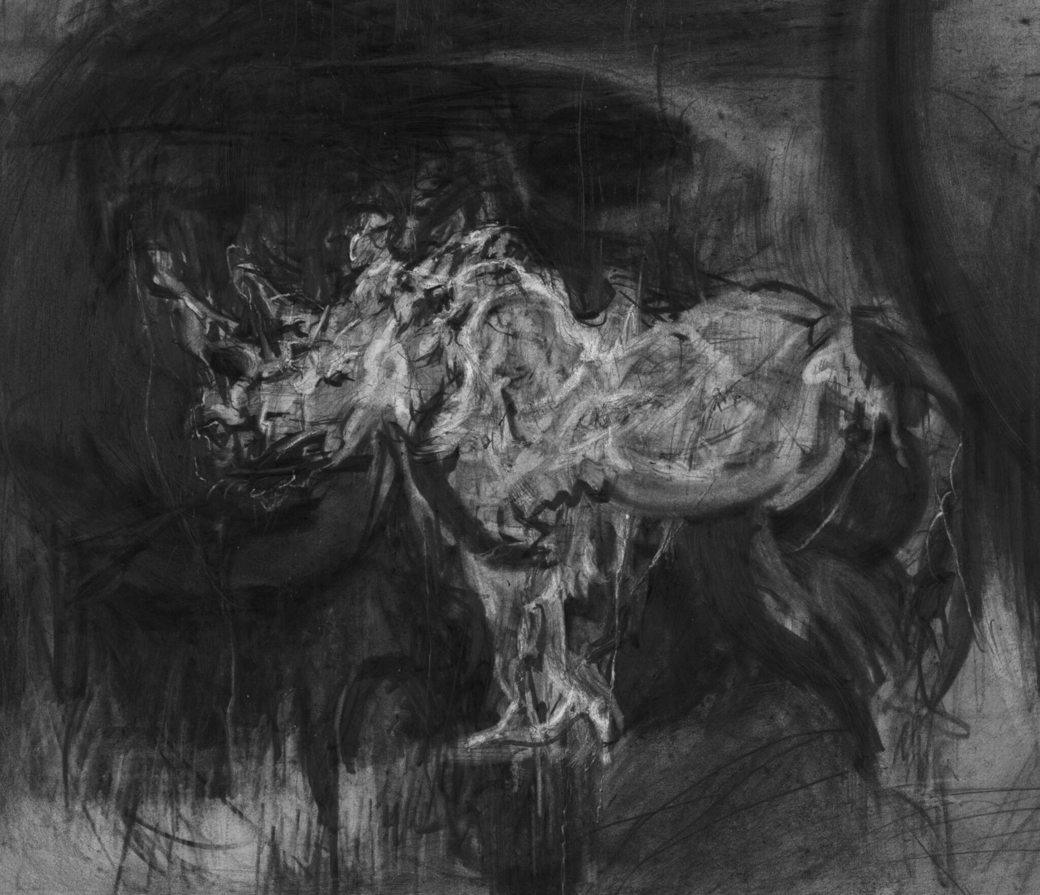 etude-de-rhinoceros-9