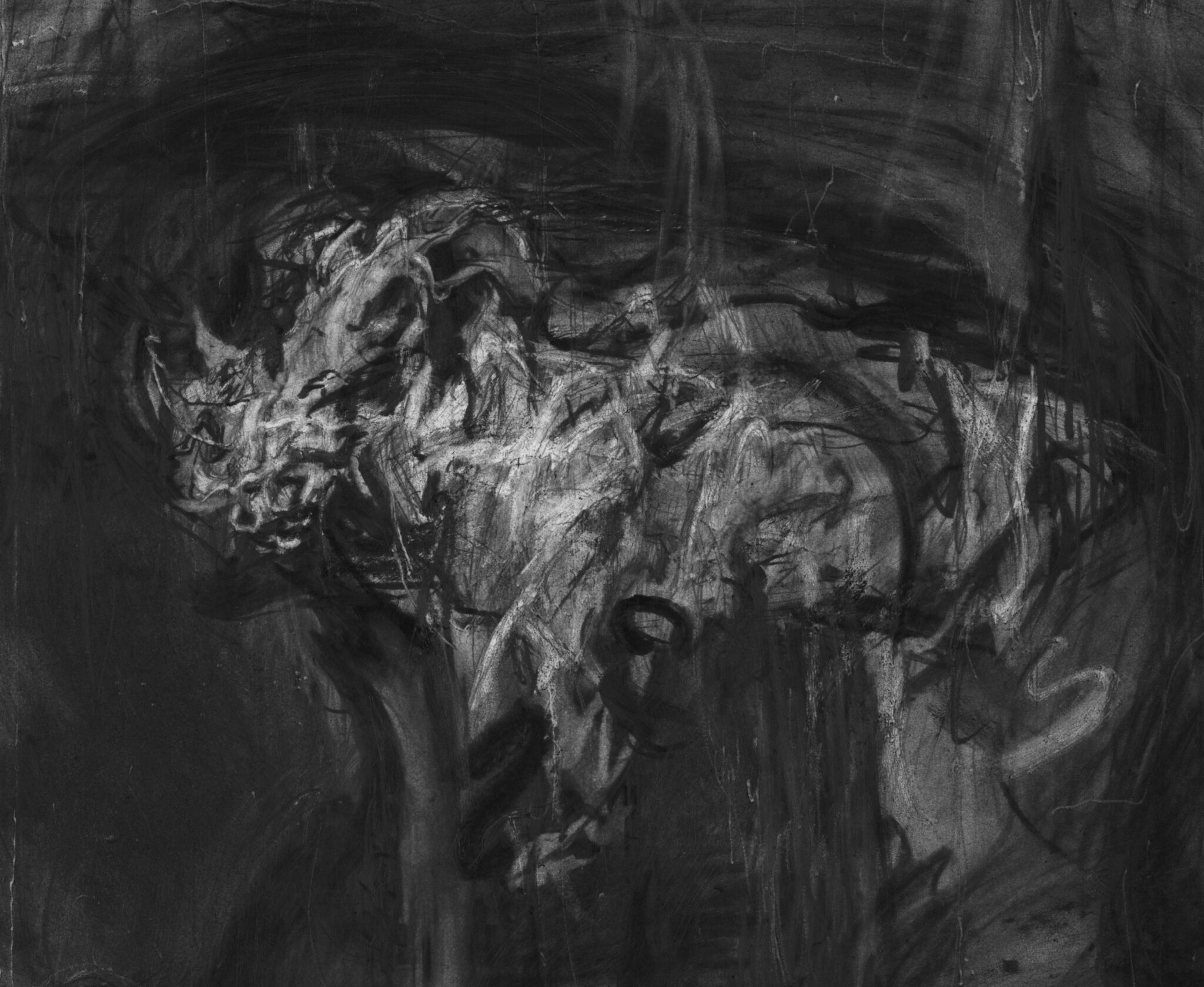 etude-de-rhinoceros-10