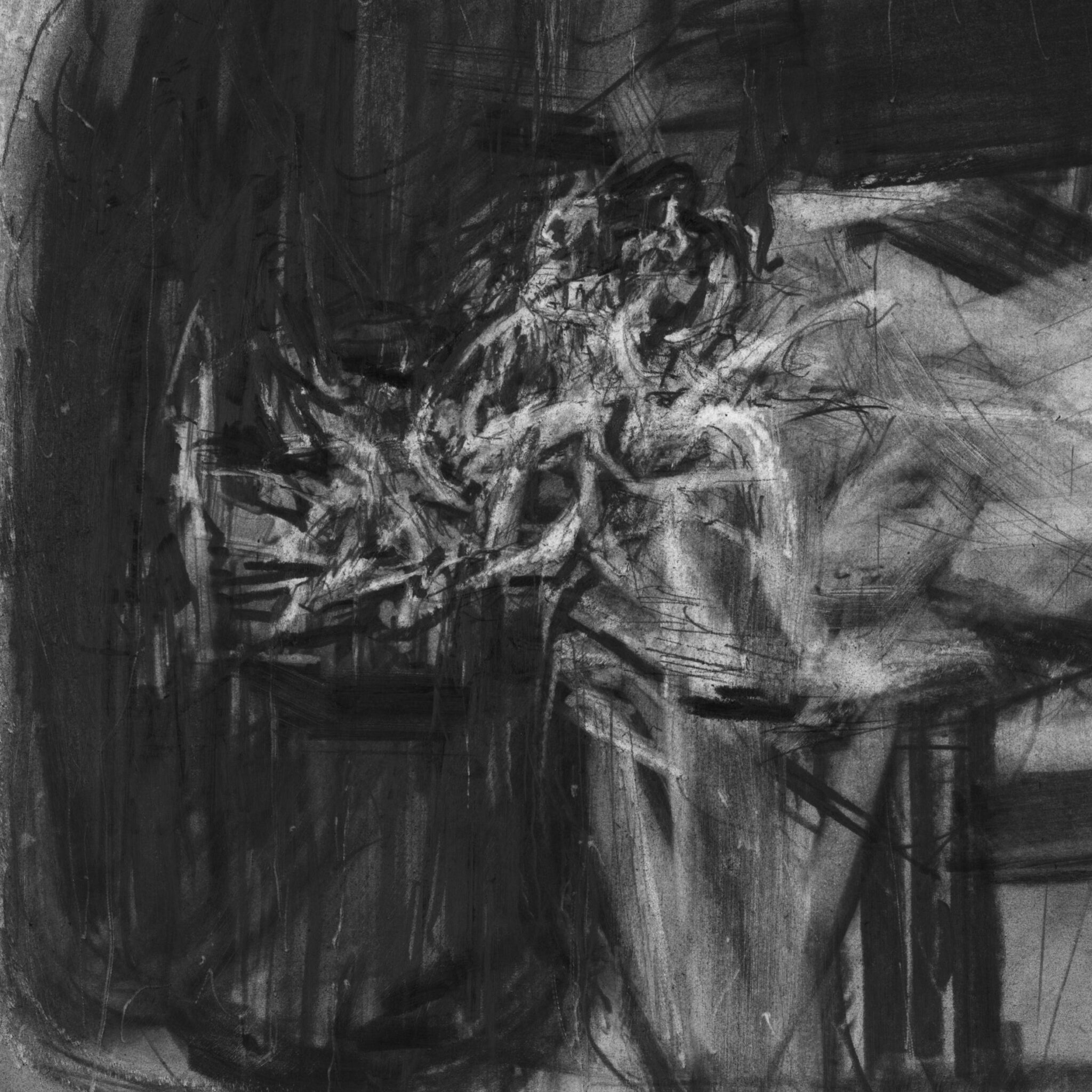 etude-de-rhinoceros-12