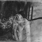 Etude De Rhinocéros par Alain Maison