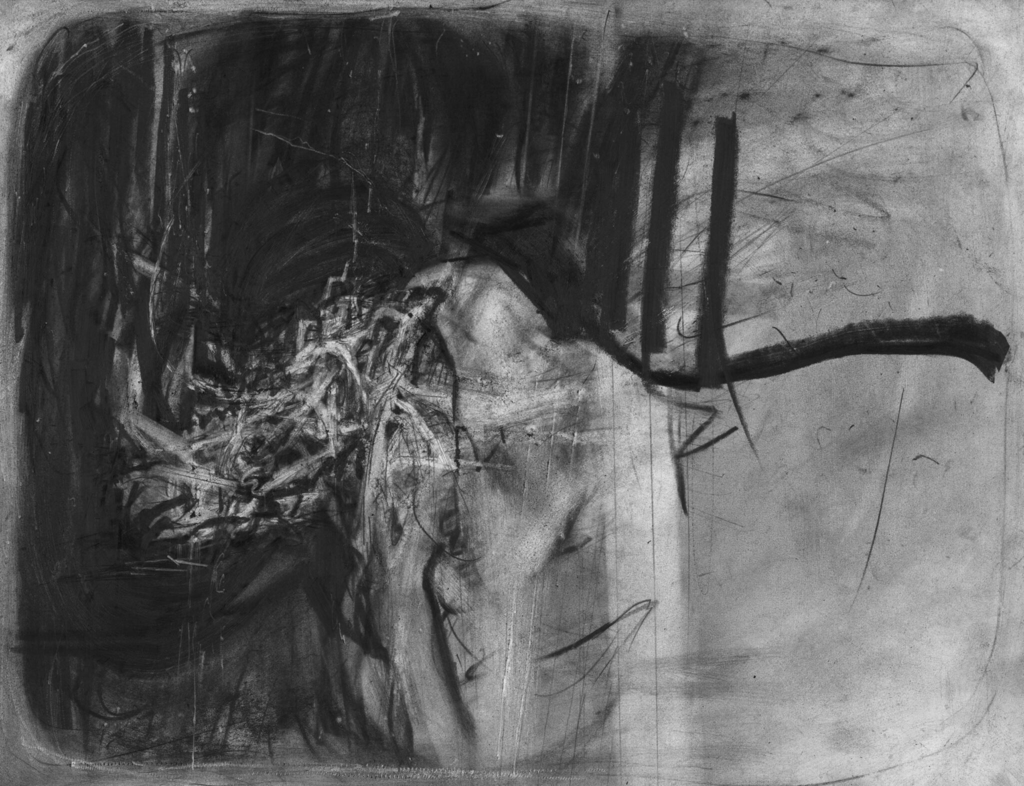 etude-de-rhinoceros-13