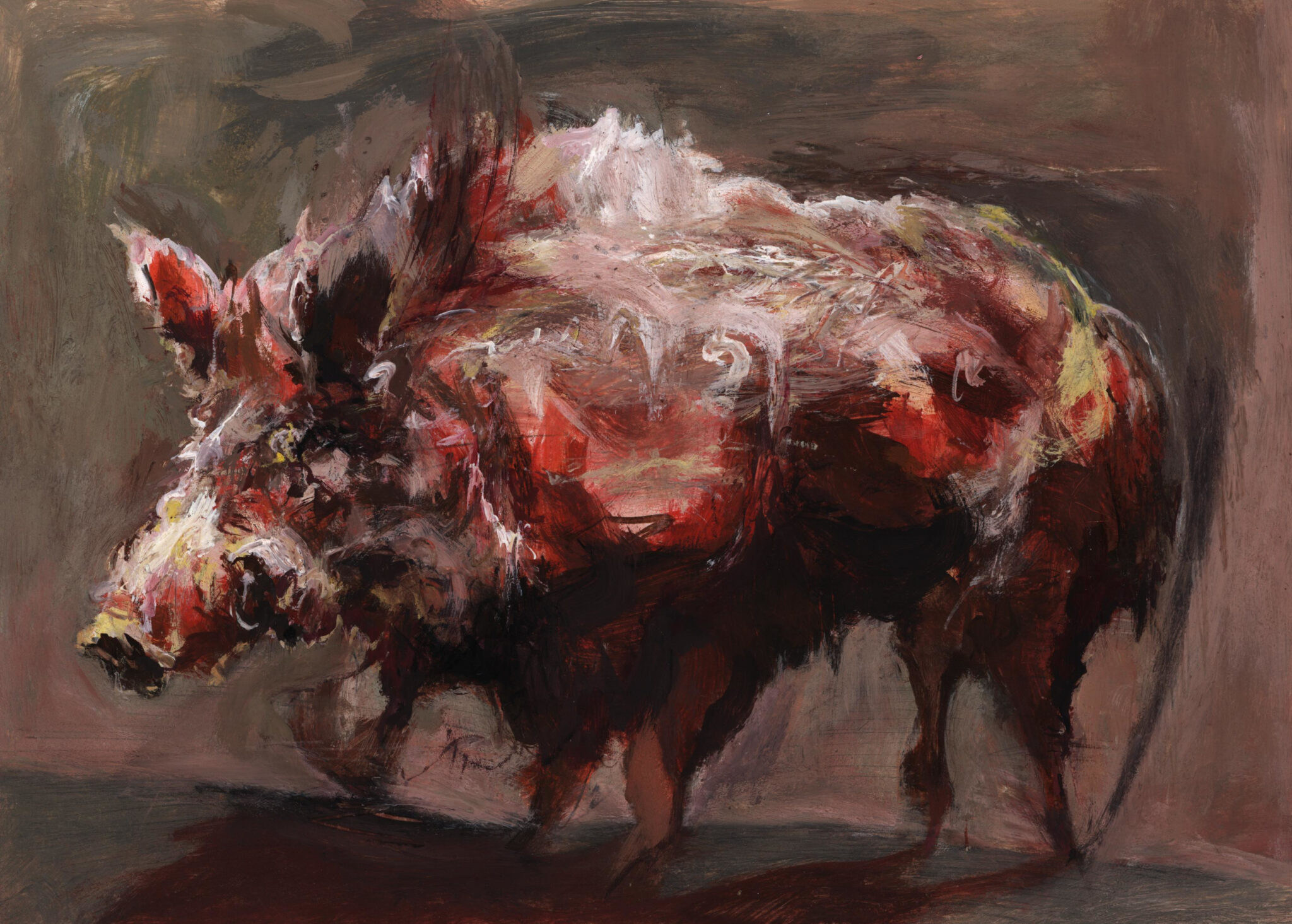 etude-de-sanglier-25