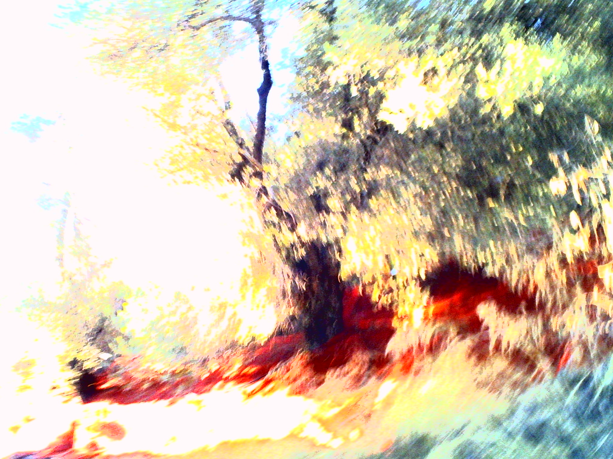 paysage-cretois