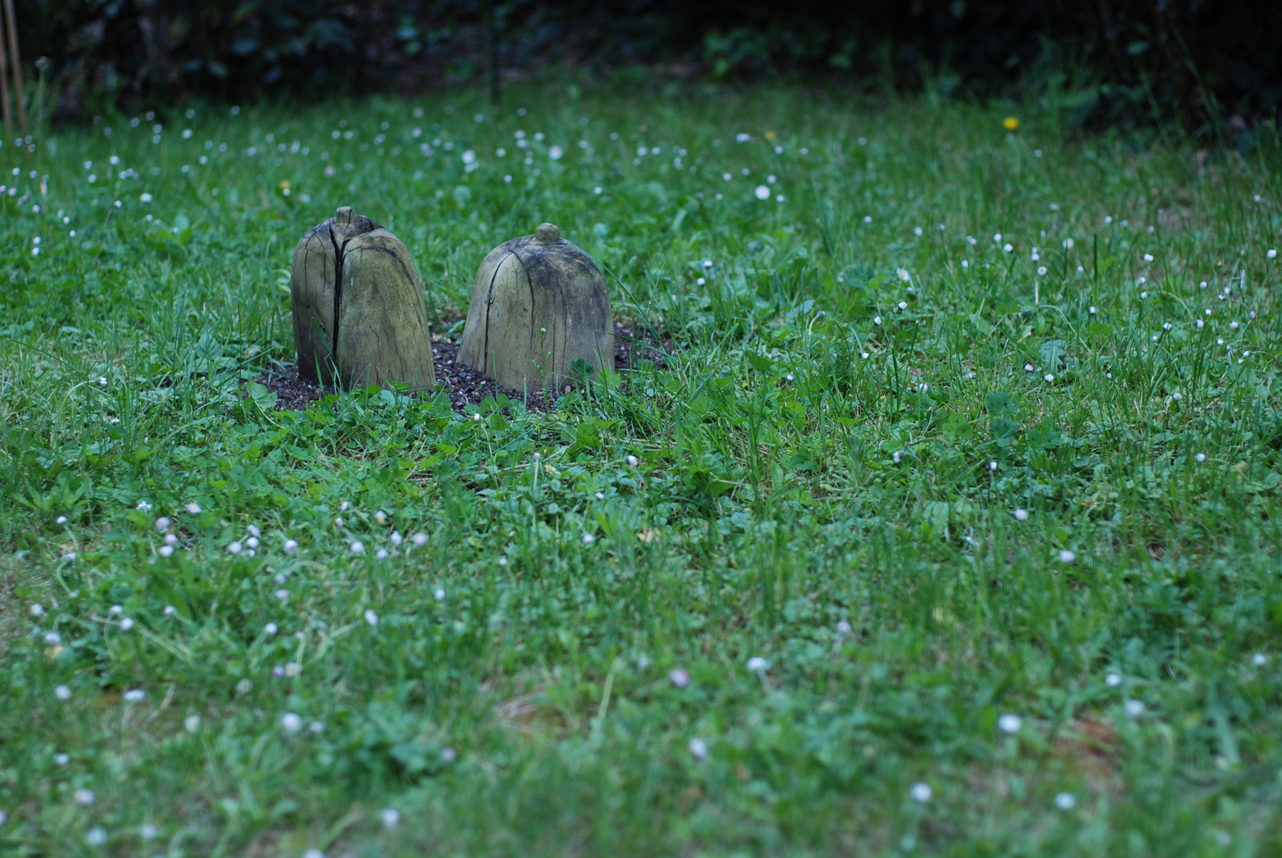 ok-dsc_0486