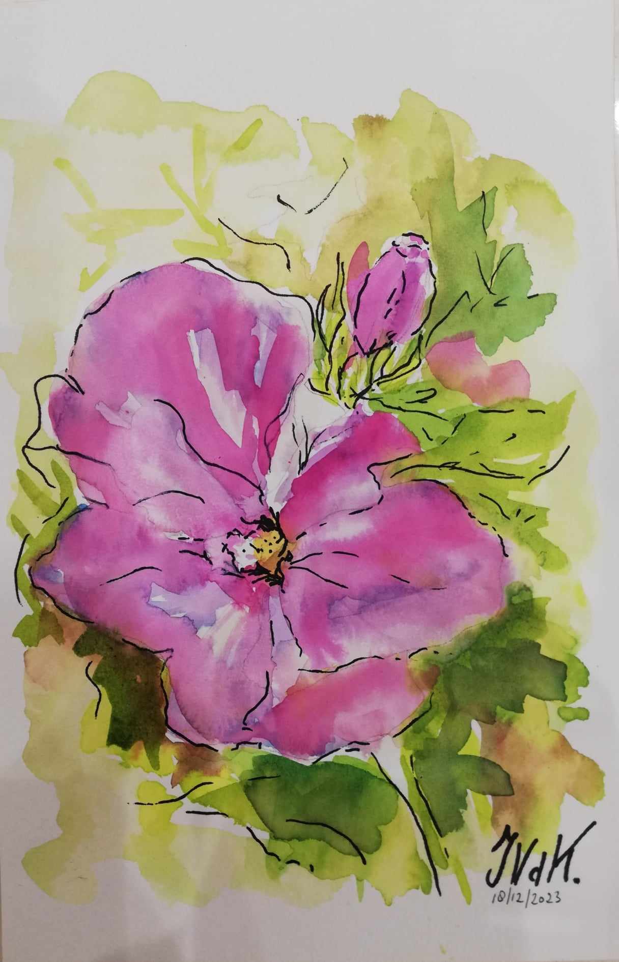 roses-8