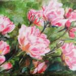 Pivoines