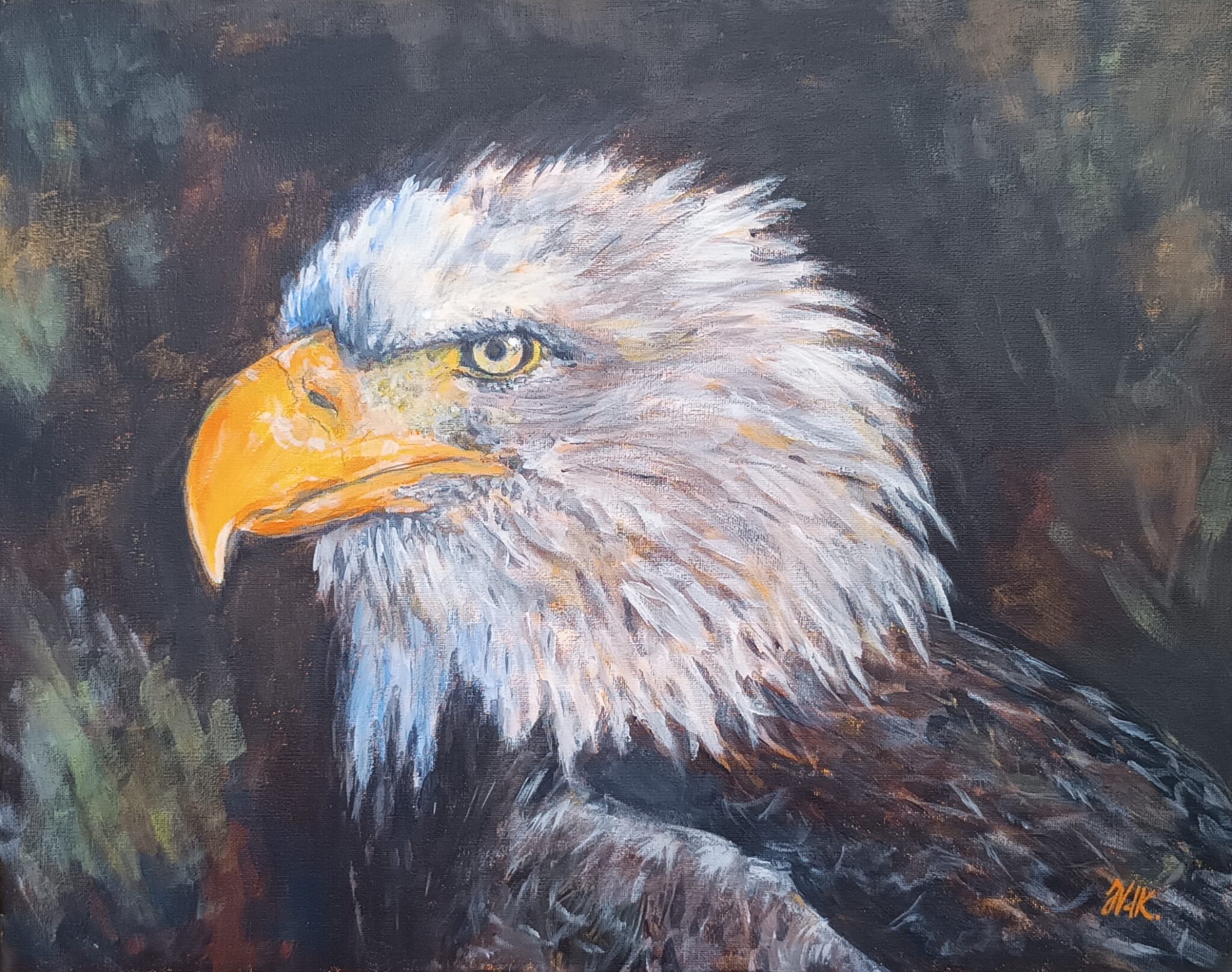 aigle-4