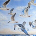 Les mouettes 