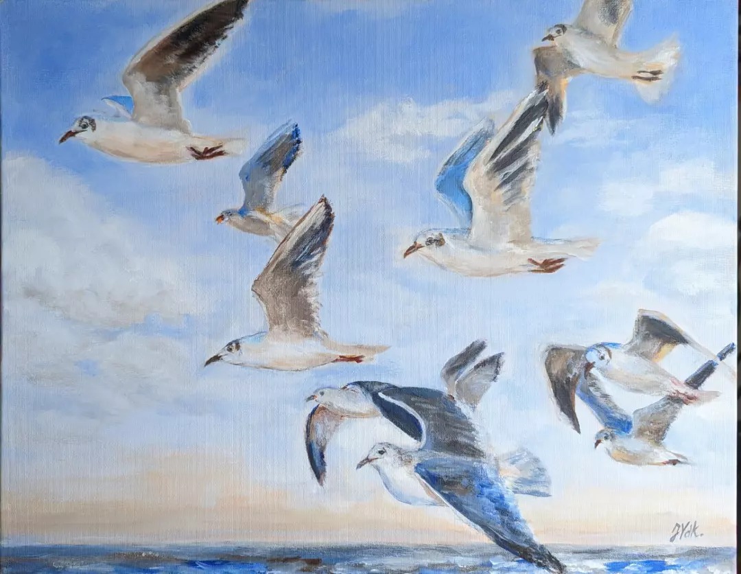 les-mouettes
