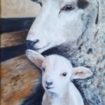 Mouton et agneau