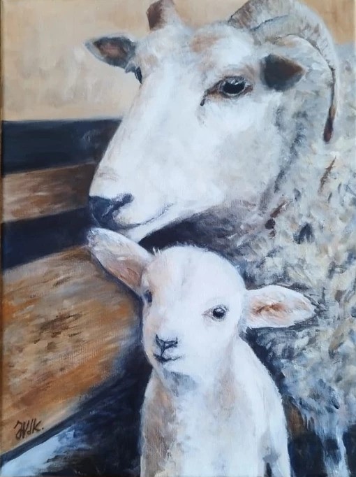 mouton-et-agneau