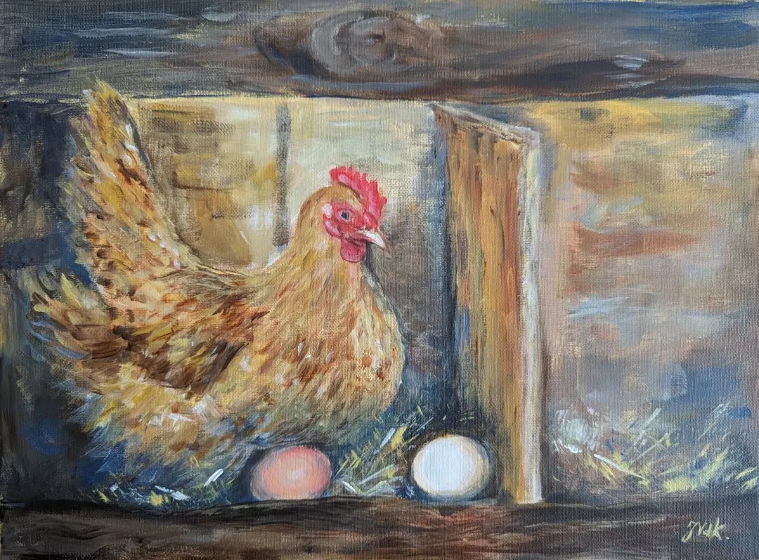 poule-et-oeufs