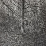 l\'Hiver par Silvimoro