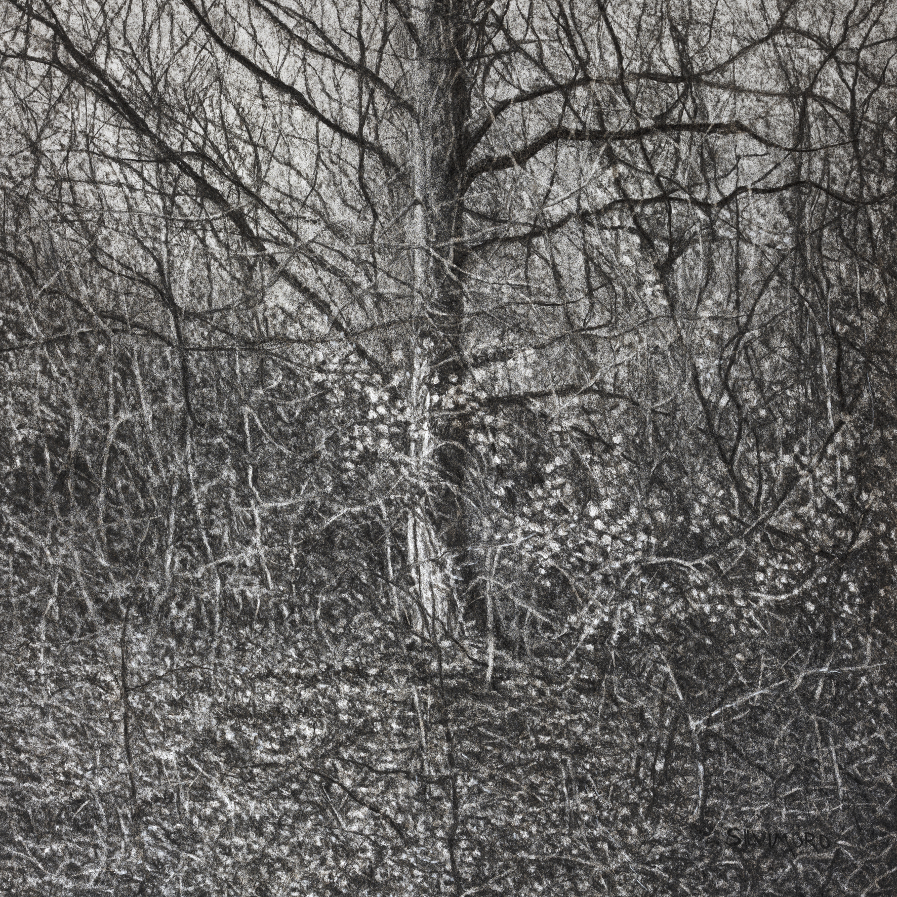 lhiver-7