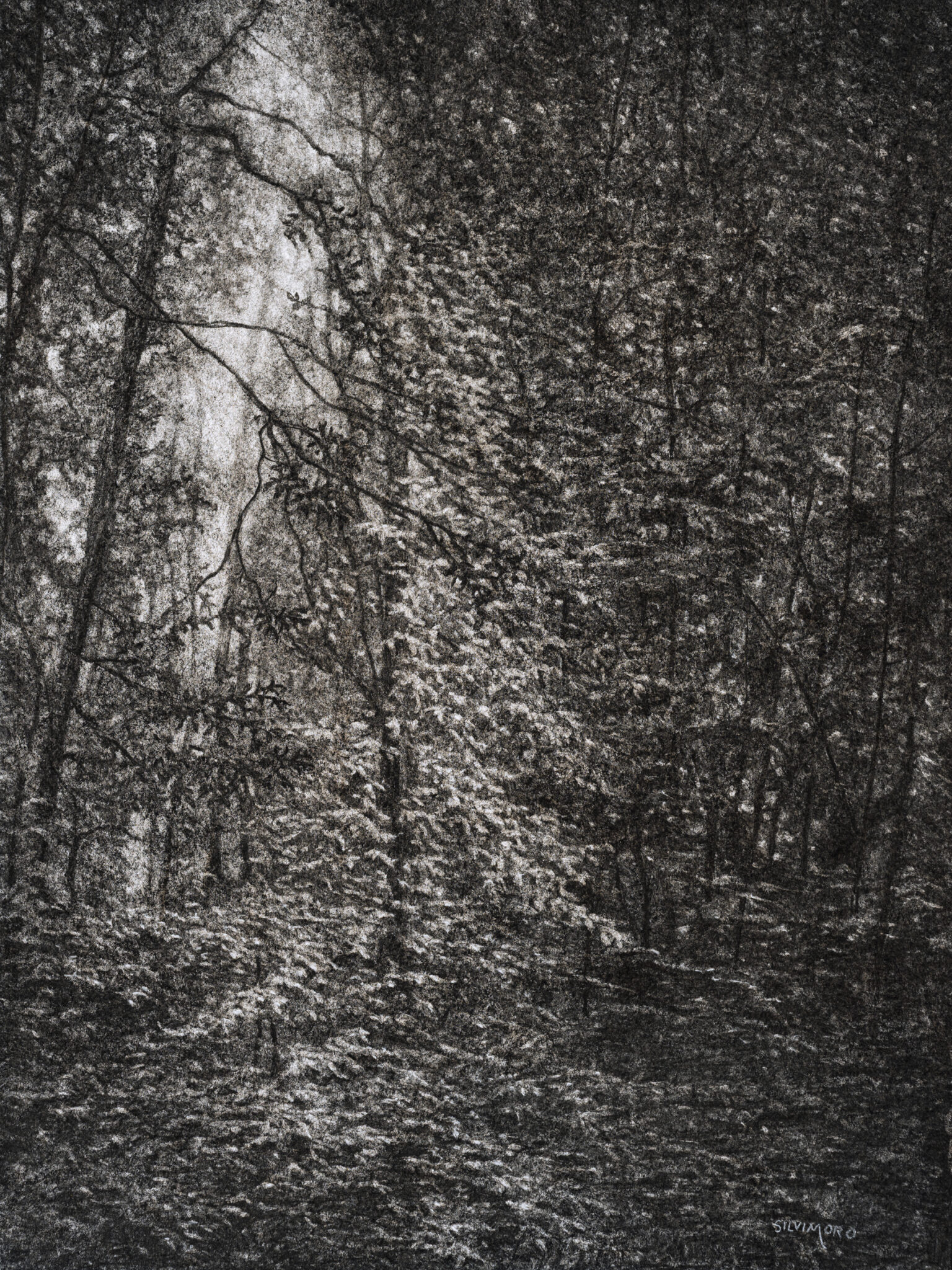 sous-bois-14