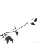 Winter leaves 1