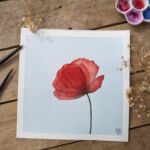 Coquelicot