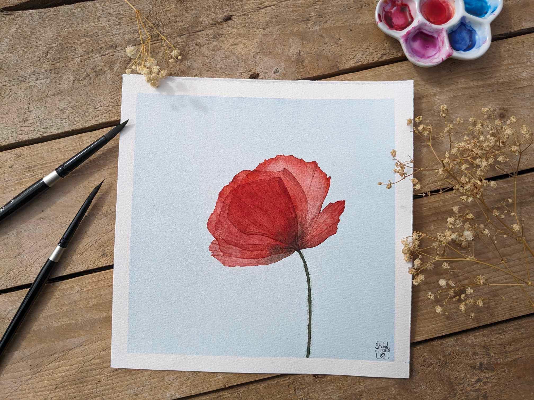 coquelicot-5