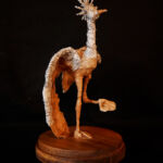 Pied de Grue