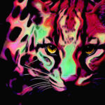 Ocelot