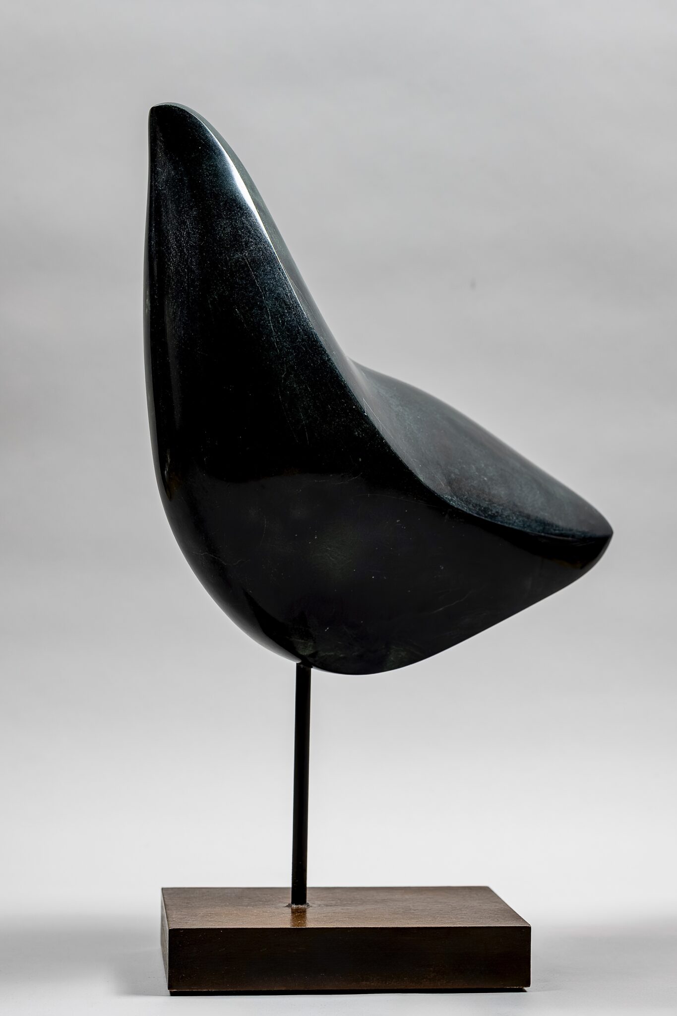 oiseau-4