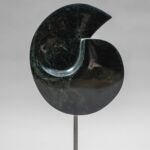 Volute par Pascale JOUANARD