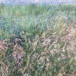 Marécage par Gaëlle Michel