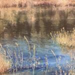 L’Etournel par Gaëlle Michel