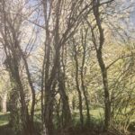 Allegro par Gaëlle Michel