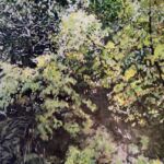 Penchée sur la rembarde je me demande ce qui se cache sous ces JEUNES FEUILLES